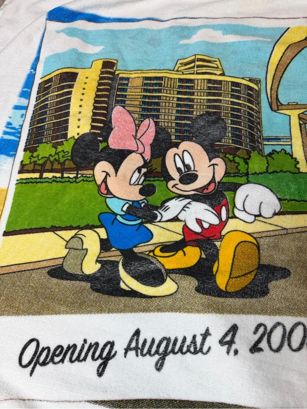 Disney vtg bay